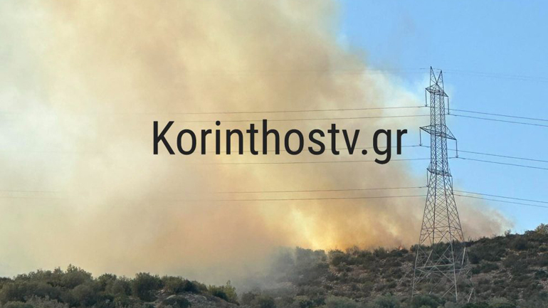 Πυρκαγιά σε δασική έκταση στον Μαψό Κορινθίας